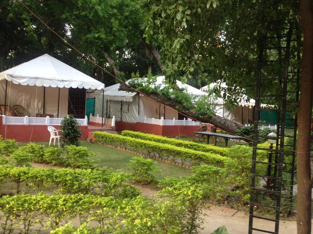 The Aravali Tent Resort 우다이푸르 객실 사진