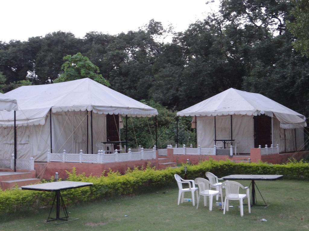 The Aravali Tent Resort 우다이푸르 객실 사진